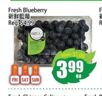 Field Fresh Supermarket Fresh Blueberry offer