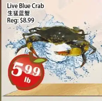 Food Depot Supermarket Live Blue Crab offer