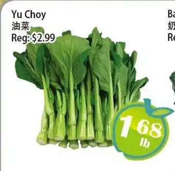 Food Depot Supermarket Yu Choy offer