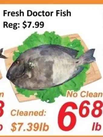 Fresh Win Foodmart Fresh Doctor Fish offer