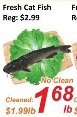 Fresh Win Foodmart Fresh Cat Fish offer
