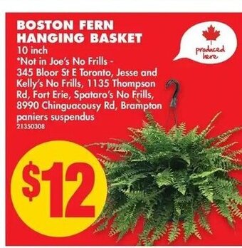 No Frills Boston Fern hanging Basket offer