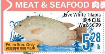 FreshLand Supermarket Live White Tilapia offer