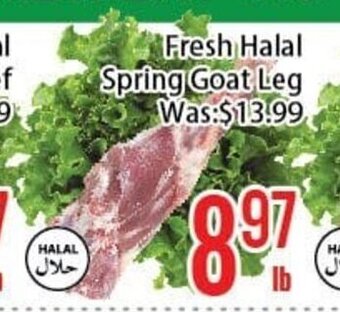 FreshLand Supermarket Fresh Halal Spring Goat Leg offer