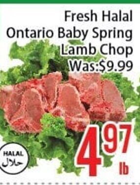FreshLand Supermarket Fresh Halal Ontario Baby Spring Lamb Chop offer