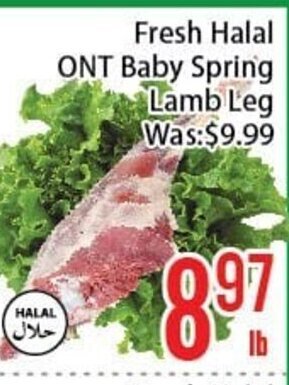 FreshLand Supermarket Fresh Halal ONT Baby Spring Lamb Leg offer
