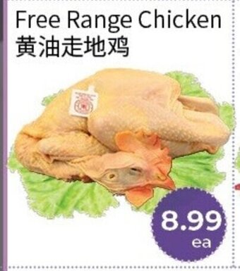 Free Range Chicken