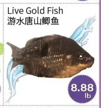 FreshWay Foodmart Live Gold Fish offer