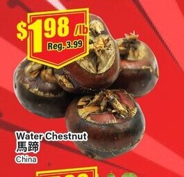 Terra Foodmart Water Chestnut offer