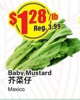 Terra Foodmart Baby Mustard offer