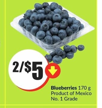 FreshCo Blueberries offer
