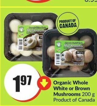 FreshCo Organic Whole White or Brown Mushrooms offer
