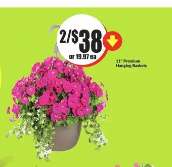 FreshCo Premium Hanging Baskets offer