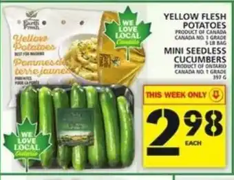 Food Basics Yellow Flesh Potatoes Mini Seedless Cucumbers offer