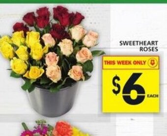 Food Basics Sweetheart Roses offer