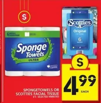 Food Basics Spongetowels or scotties facial tissue offer