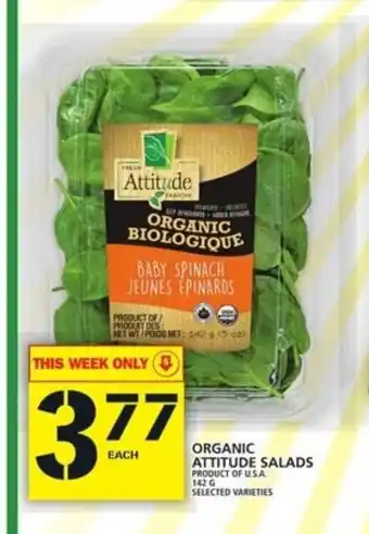 Food Basics Organic attitude salads offer