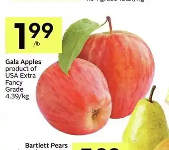 IGA Gala apples offer