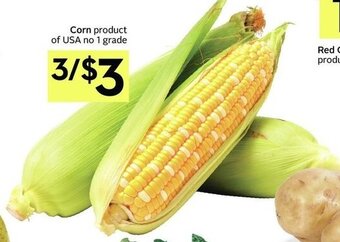 IGA Corn offer