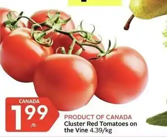 IGA Cluster red tomatoes on the vine offer