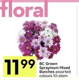 IGA Bc grown spraymum mixed bunches offer