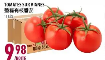 Marché Lian Tai Tomates sur vignes offer