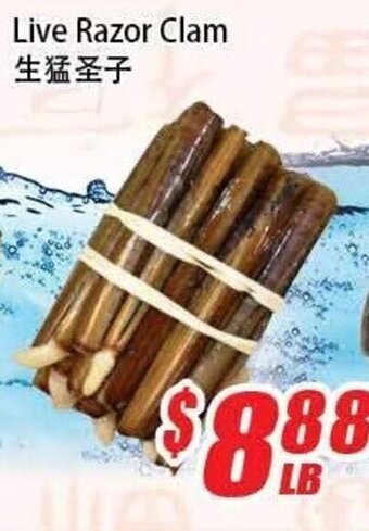 WinCo Food Mart Live razor clam offer