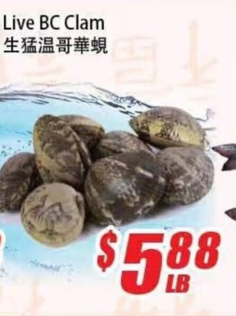 WinCo Food Mart Live BC clam offer