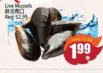 Field Fresh Supermarket Live Mussels offer