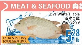 FreshLand Supermarket Live White Tilapia offer