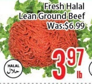 FreshLand Supermarket Fresh Halal Lean Ground Beef offer