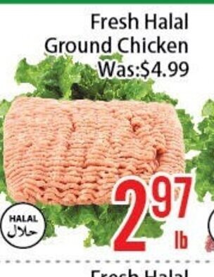 FreshLand Supermarket Fresh Halal Ground Chicken offer