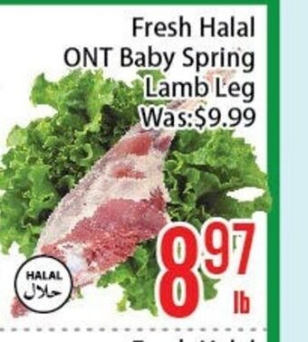 FreshLand Supermarket Fresh Halal ONT Baby Spring Lamb Leg offer
