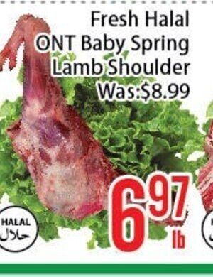 FreshLand Supermarket Fresh Halal ONT Baby Spring Lamb Shoulder offer