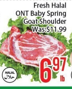FreshLand Supermarket Fresh Halal ONT Baby Spring Goat Shoulder offer