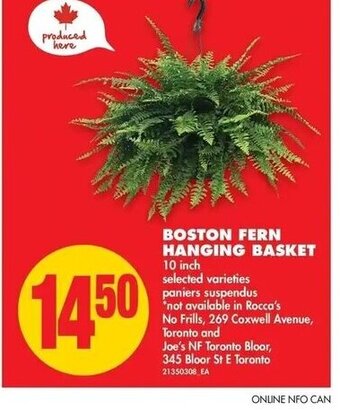 No Frills Boston Fern Hanging Basket offer