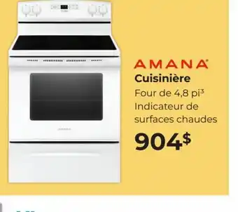 EconoMax Plus Amana Cuisinière offer