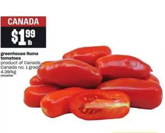 Loblaws Greenhouse Roma offer