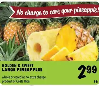 Farm Boy Large Pineapples offer