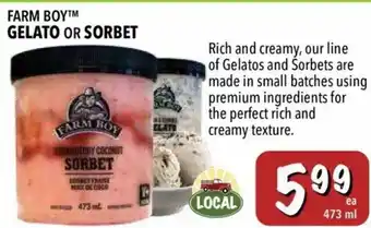 Farm Boy Gelato or Sorbet offer