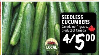 Farm Boy Seedless Cucumbers offer