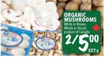 Farm Boy Organic Mushrooms offer