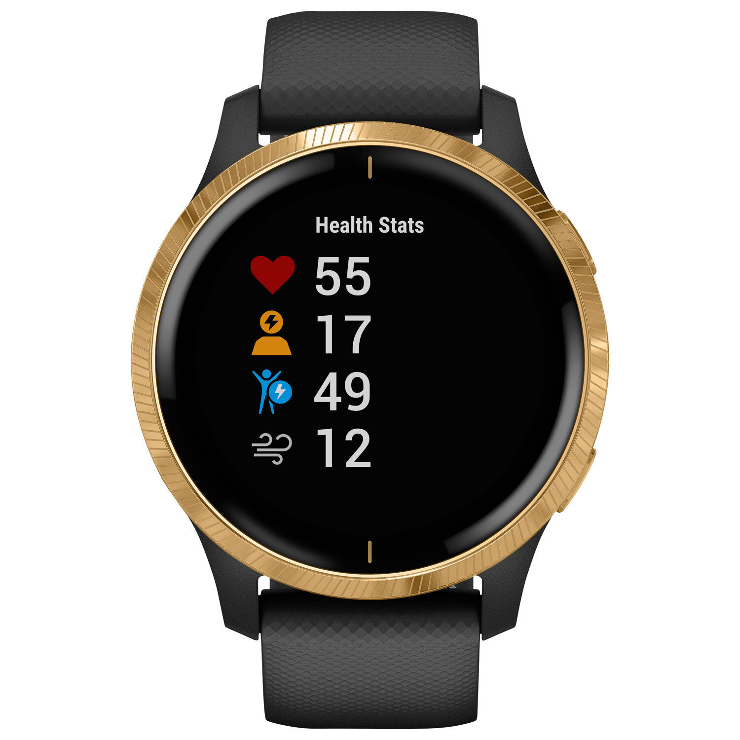 Garmin Venu 42mm GPS Watch with Heart 