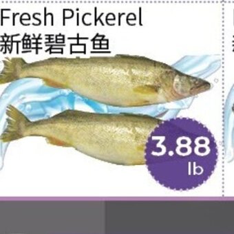 FreshWay Foodmart Fresh Pickerel offer