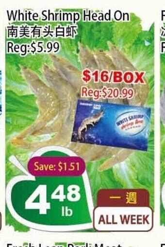 White Shrimp Head On
