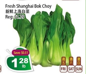 Fresh Shanghai Bok Choy