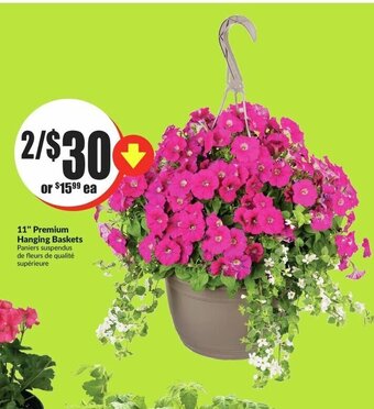 FreshCo 11" Premium Hanging Baskets offer