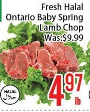 FreshLand Supermarket Fresh Halal Ontario Baby Spring Lamb Chop offer