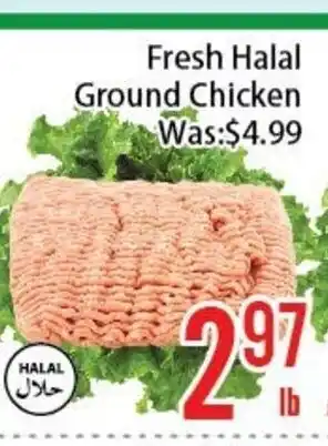 FreshLand Supermarket Fresh Halal Ground Chicken offer