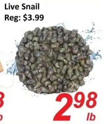Fresh Win Foodmart Live Snail offer